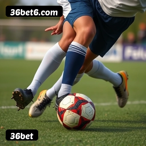 36bet APP mobile iOS Android - 187 mil downloads São Paulo Rio BH